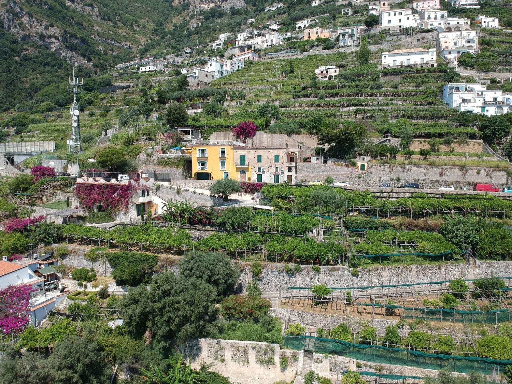 Agriturismo Fuoco D'Amalfi Villa Iazzetta Buitenkant foto