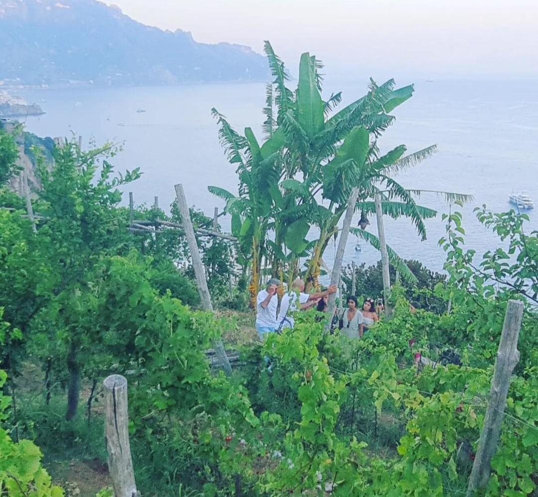 Agriturismo Fuoco D'Amalfi Villa Iazzetta Buitenkant foto
