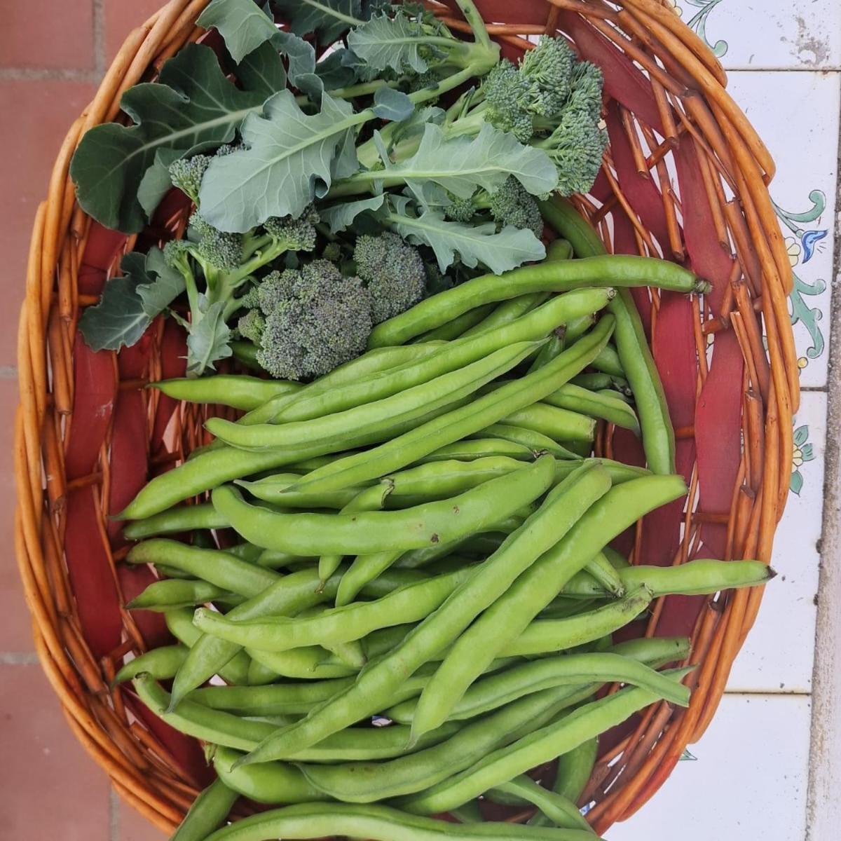Agriturismo Fuoco D'Amalfi Villa Iazzetta Buitenkant foto